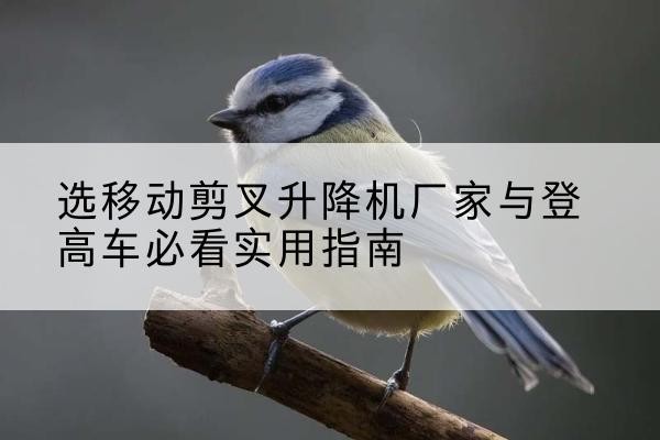 嘉荫电动升降机厂家-选移动剪叉升降机厂家与登高车必看实用指南