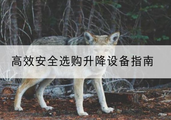 嘉荫升降货梯厂家推荐-*安全选购升降设备指南